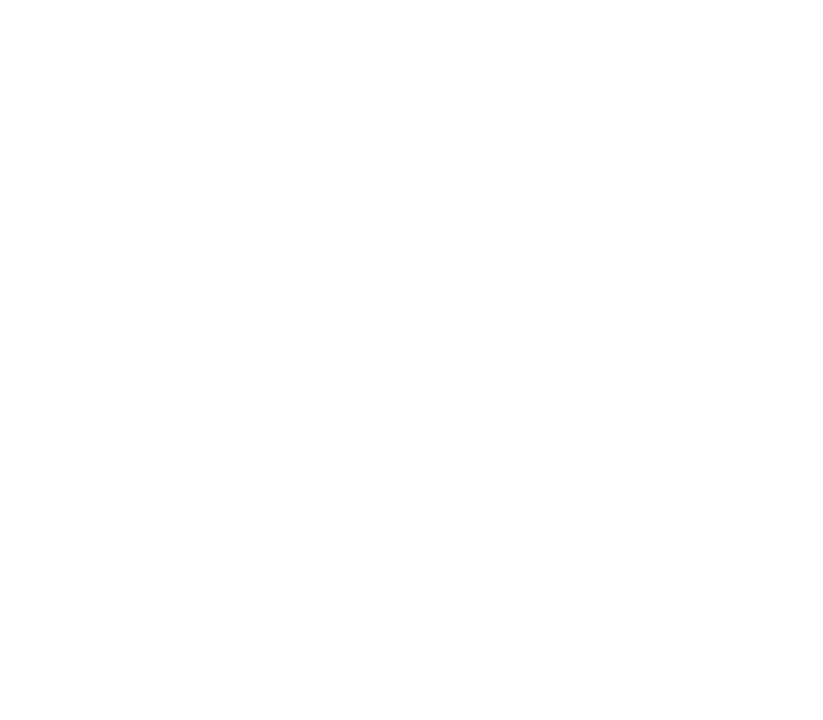 bisonmi logo